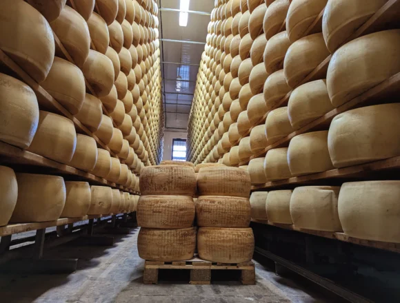 Il Parmigiano Reggiano conquista il mondo: +15,1% le vendite nel primo semestre 2024