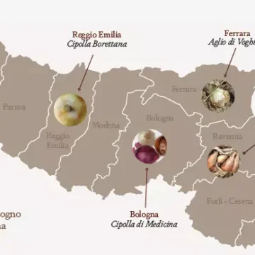 Un viaggio alla scoperta delle Liliaceae dell’Emilia-Romagna: sapori, scienza e tradizione in 60 schede