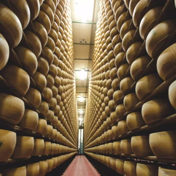 Parmigiano Reggiano: un successo globale nel primo semestre 2024