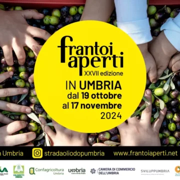 Frantoi Aperti 2024: L’Olio d’Oliva Reinventa l’Umbria