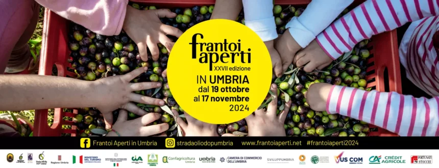 Frantoi Aperti 2024: L’Olio d’Oliva Reinventa l’Umbria