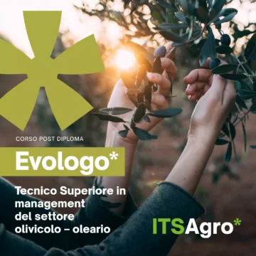 Diventa EVOlogo: ultime chance per iscriverti al corso gratuito e specializzarti nell’olio extravergine d’oliva