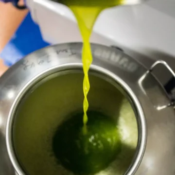 Nasce l’EVOlogo: una nuova figura professionale per l’olio extravergine d’oliva