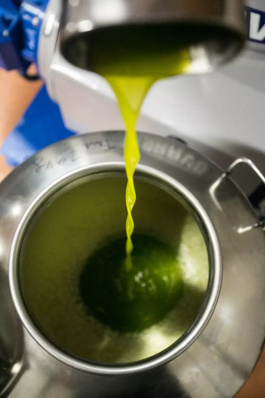 Nasce l’EVOlogo: una nuova figura professionale per l’olio extravergine d’oliva