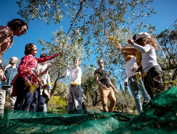 Frantoi Aperti 2024: Un Viaggio nel Cuore dell’Olio Extravergine d’Oliva Umbria